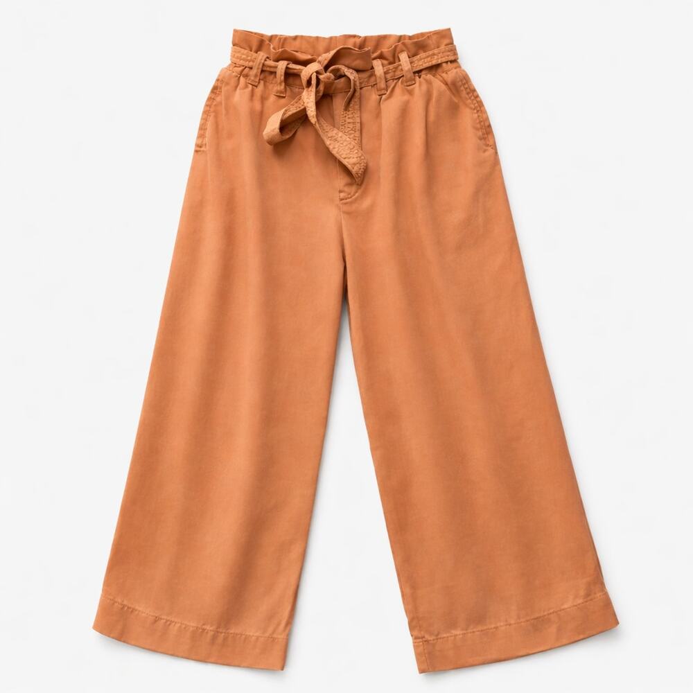 Anthropologie Paperbag Waist Wide Leg Pants Rust Orange Tie Belt Boho Size 2